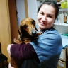 «Привезли питомца и бросили его»: о новом тренде для работающих приморцев