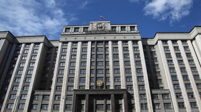 Госдума не поддержала увеличение пособия по уходу за ребенком
