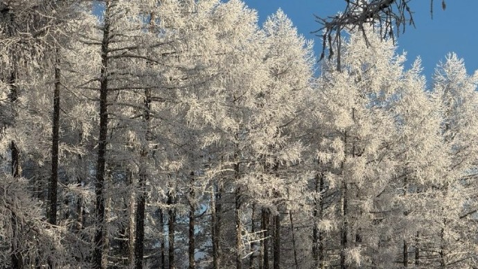 Погода в Башкирии на Новый год: оттепель или морозы?