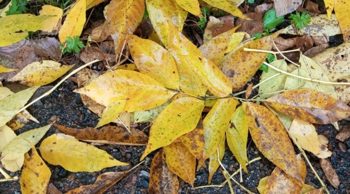 В Башкирии ожидается аномальное тепло В Башкирии ожидается аномальное тепло