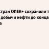 Восемь стран ОПЕК+ сохранили текущий уровень добычи нефти до конца I квартала
