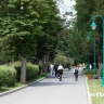 Поступления налога на прибыль в Белгородской области упали почти на четверть