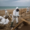 Ученые рассказали о влиянии разлива мазута на экосистему Черного моря