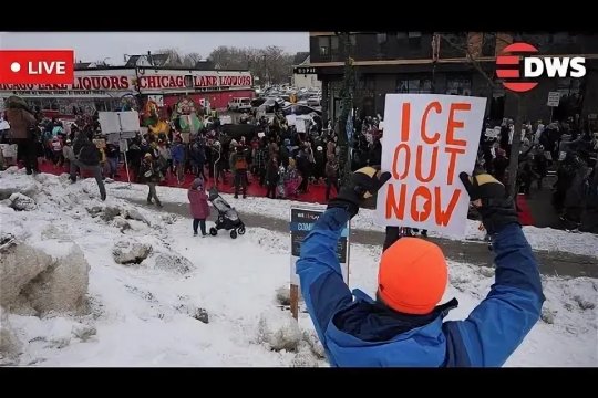 В США прошли массовые протесты против иммиграционной политики властей