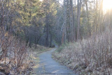 ​Метеорологи спрогнозировали две волны тепла в Пермском крае
