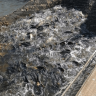 45 тыс. мальков выпустили в Кармановское водохранилище в Башкирии