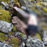 В Башкирии 34-летний мужчина погиб, сорвавшись со скалы