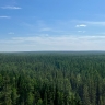 В Якутии площадь лесных пожаров в 2025 году сократилась в 31 раз