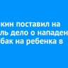 Бастрыкин поставил на контроль дело о нападении стаи собак на ребенка в Зиме