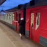 Полиция задержала 14-летнюю москвичку, разгромившую электричку молотком