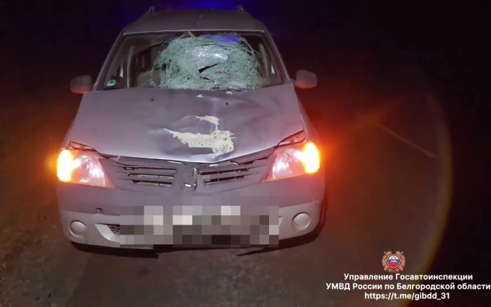 В Белгородской области насмерть сбили пешехода, шедшего по проезжей части В Белгородской области насмерть сбили пешехода, шедшего по проезжей части