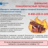 «Ярэнерго» напоминает жителям Ярославской области о правилах пожарной безопасности вблизи энергообъектов