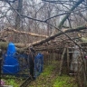 Горожанин возмущен состоянием Воскресенского кладбища после зимы