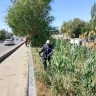 В Астрахани усилена работа по скосу сорной растительности