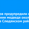 Туристов предупредили о появлении медведя около Бабхи в Слюдянском районе
