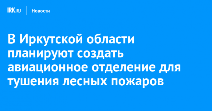 В Иркутской области планируют создать авиационное отделение для тушения лесных пожаров