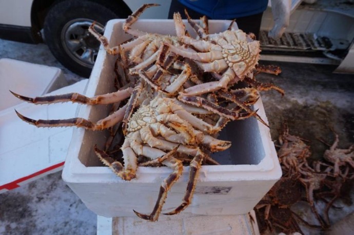 В Приморье добились взыскания более 9,8 млн рублей с четырёх браконьеров ДФО В Приморье добились взыскания более 9,8 млн рублей с четырёх браконьеров ДФО