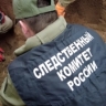 В Запорожской области продолжаются поисковые работы по обнаружению останков бойцов Красной армии