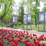 В парке Победы Белгорода открыли выставку «Путь к Победе»