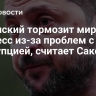 Зеленский тормозит мирный процесс из-за проблем с коррупцией, считает Сакс