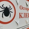 Жителям Бурятии напомнили про несносных клещей