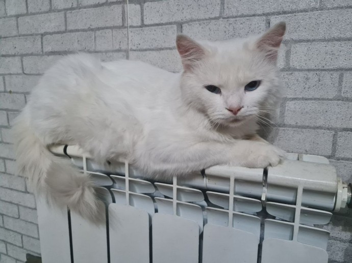 Белгородцы стали в 13 раз реже жаловаться на отопление Белгородцы стали в 13 раз реже жаловаться на отопление