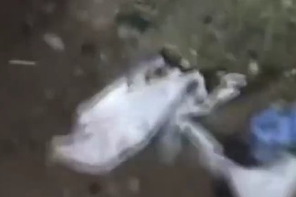 Обнаружены обломки упавшего самолета с начальником генштаба Ливии на борту