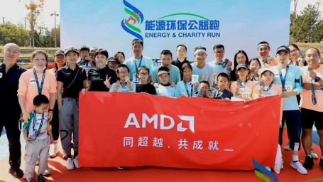 Выручка AMD в меньшей степени зависит от международного рынка, чем у Intel