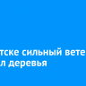 В Иркутске сильный ветер повалил деревья