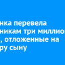 Братчанка перевела мошенникам три миллиона рублей, отложенные на квартиру сыну
