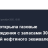 Equinor открыла газовые месторождения с запасами 30-110 млн баррелей нефтяного эквивалента