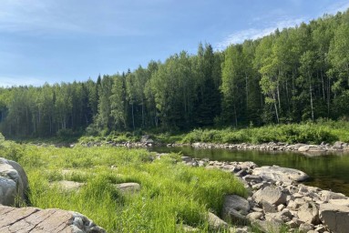 На севере Пермского края зафиксировали землетрясение, произошедшее на Аляске