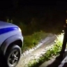 Появилось видео с поисков прячущегося на дереве от медведя сахалинца