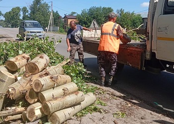 Жителям Белогорска предложили разобрать бурелом на дрова