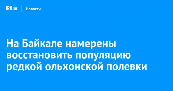 На Байкале намерены восстановить популяцию редкой ольхонской полевки