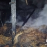 В Башкирии молния убила женщину и корову