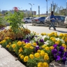 Температуру на 10 градусов выше нормы прогнозируют до 27 августа в Якутии