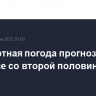 Комфортная погода прогнозируется в Москве со второй половины недели