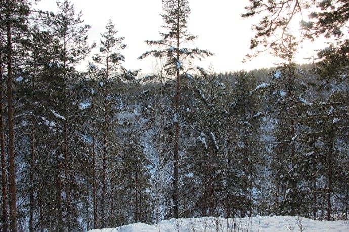 Погода в Башкирии готовит приятный сюрприз на Новый год