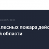Четыре лесных пожара действует в Томской области