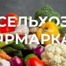 В выходные в Уфе пройдут сельхозярмарки