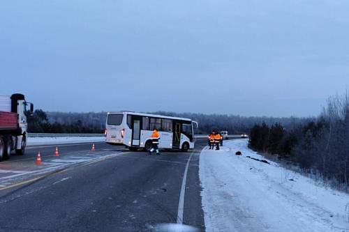 В Свободненском районе пешеход погиб под колесами автобуса
