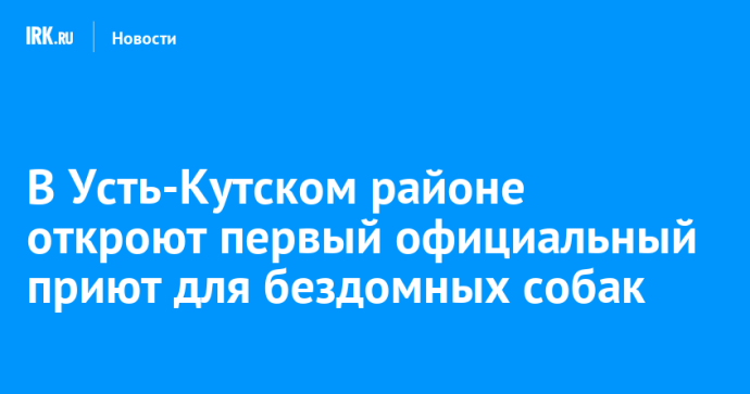 В Усть-Кутском районе откроют первый официальный приют для бездомных собак В Усть-Кутском районе откроют первый официальный приют для бездомных собак