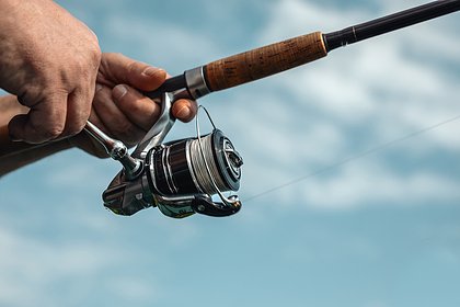 Рыбак поймал огромного полосатого лаврака и побил 30-летний рекорд Рыбак поймал огромного полосатого лаврака и побил 30-летний рекорд