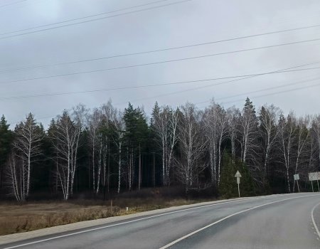 В Башкирии ожидается похолодание до -10° В Башкирии ожидается похолодание до -10°