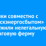 Силовики совместно с «Иркутскэнергосбытом» обнаружили нелегальную майнинговую ферму