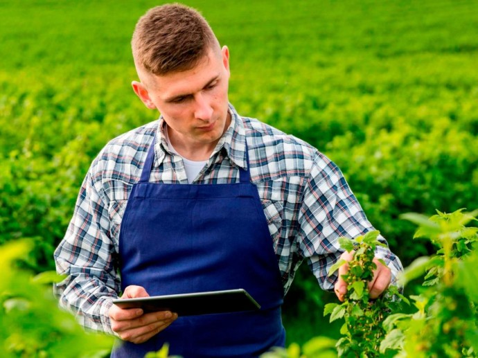 Этим специалистам в АПК компании готовы платить больше всех Этим специалистам в АПК компании готовы платить больше всех