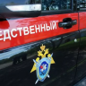 Следователи заинтересовались делом многодетной матери из Липецка