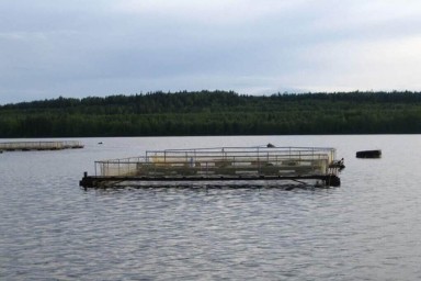 Комиссия отказала в проекте нового рыбоводного участка в Лахденпохском районе