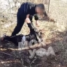 В Башкирии сверстники избили подростка-инвалида